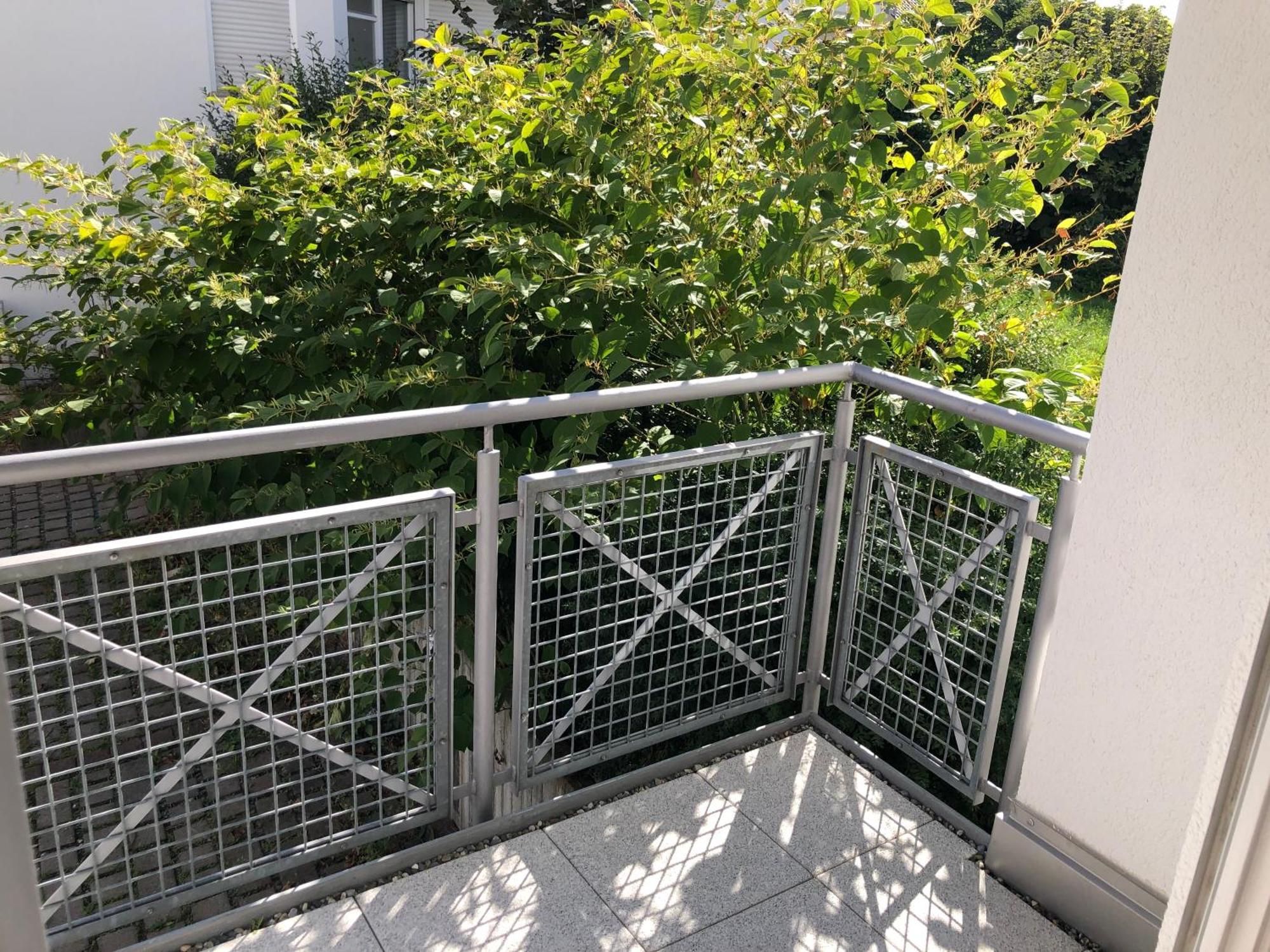 Luxliv Apartements Balingen Ngoại thất bức ảnh